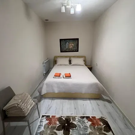 Apartment Sofi